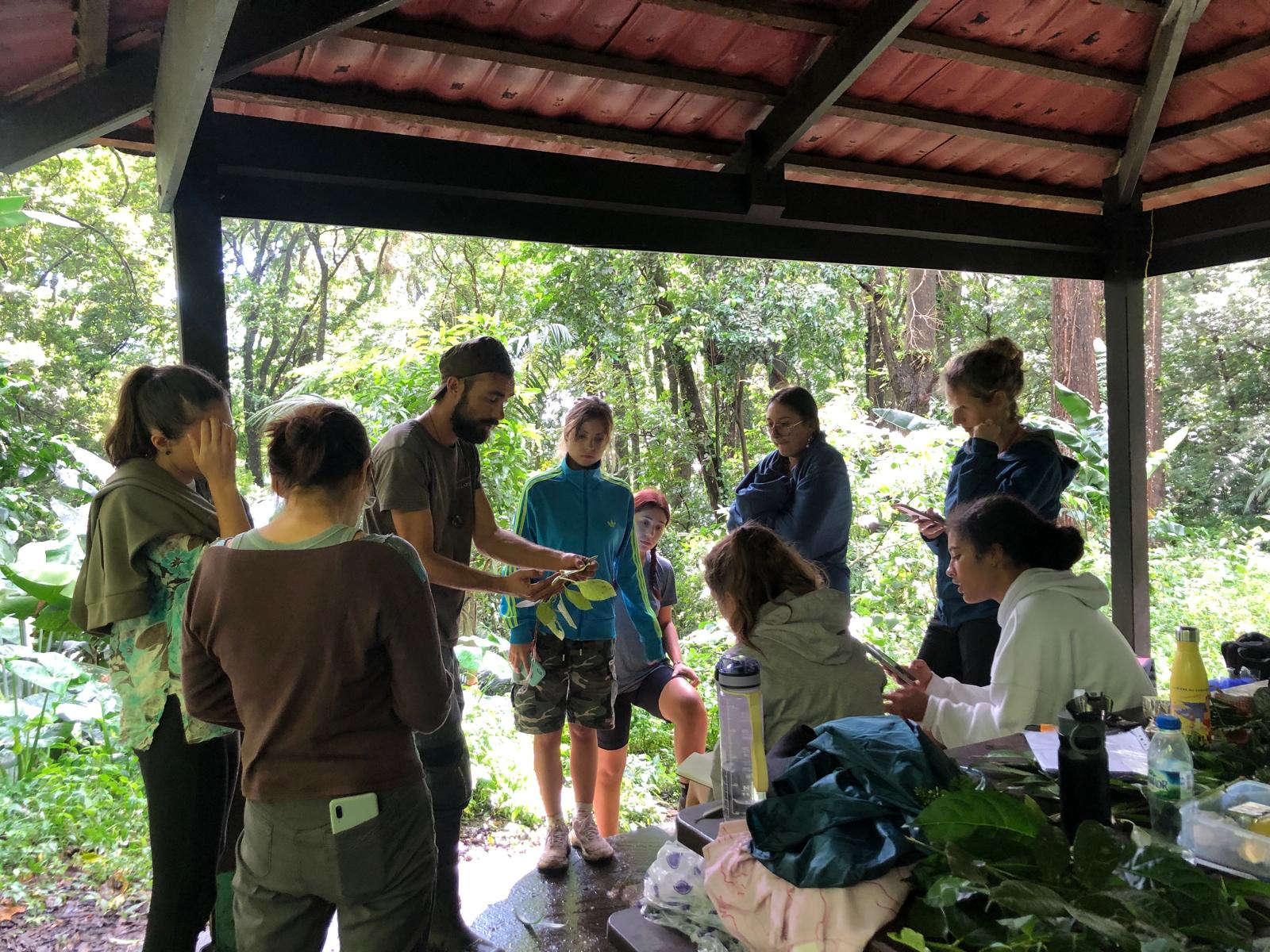Première sortie de l’année 2026 en Martinique : La forêt tropicale humide de Caplet #19